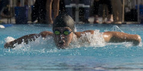 Swimming Scorps Have New Home, New Attitude