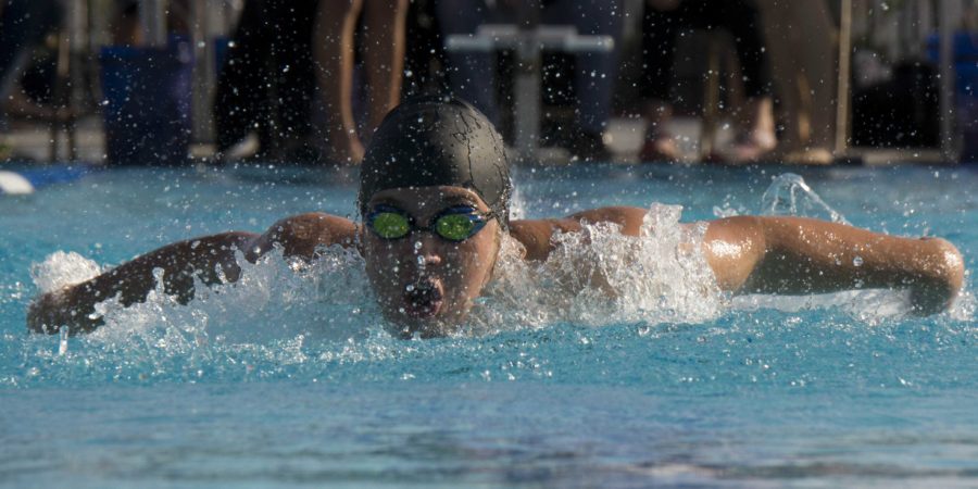 The boys varsity swim team dominated Buena High School at the first ever Cam High swim meet at home. 