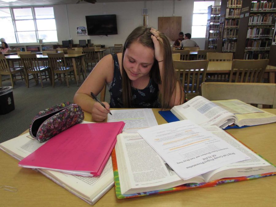 Though winter break offers a quick break from everyday classes, it is far from being entirely work-free. I think [break homework] helps us to review things that we tend to forget, said Madison Waterlander, junior (pictured above). But at the same time, break is supposed to be time with family.