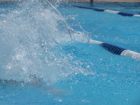 New pool, New champs