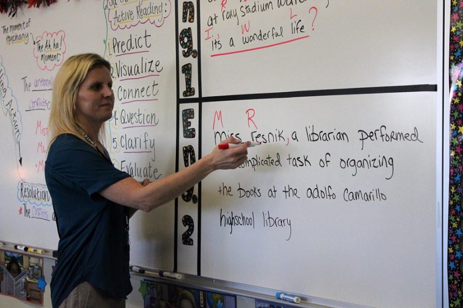 Ms. Dawn Cassity, Miss. Heidi Resniks replacement, teaching her English 2 class.