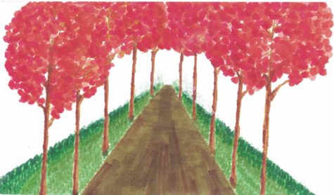 Illustrated by: Cassie Tran