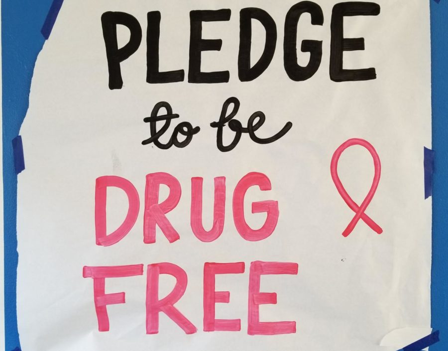 One of the posters hung around school that encourages students to be drug-free. 

Photo by: Jonah Arellano