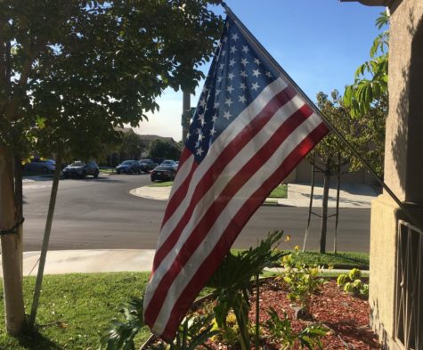 Nov. 11 is Veterans Day, a holiday that honors all those who have served in the military.