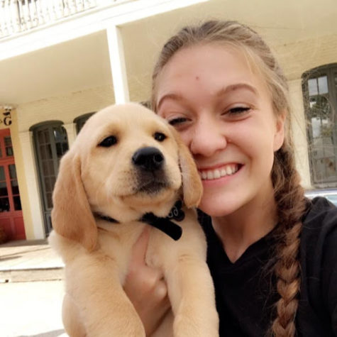 provided by Mr Sam Swanson: Three month old Prauge being held by current guide dog trainer