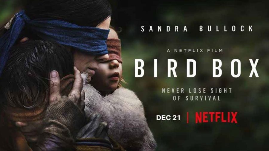 Movie poster for Netflix Original Bird Box.
