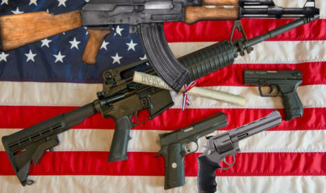 Owning guns is a citizens' natural right and should not be infringed upon.
