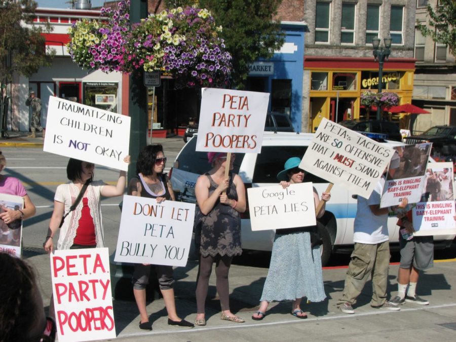 Anti-PETA protests drowned out PETA protests in Downtown Everret, Washington on September 10, 2011. PETA has drawn crticism due reports that surfaced on the amount of animals that the organization has chosen to euthanize.
