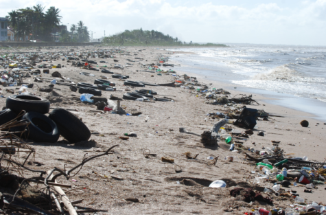 The Un(sea)n Horrors of Pollution