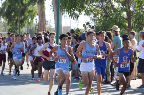 Running the Course to Success