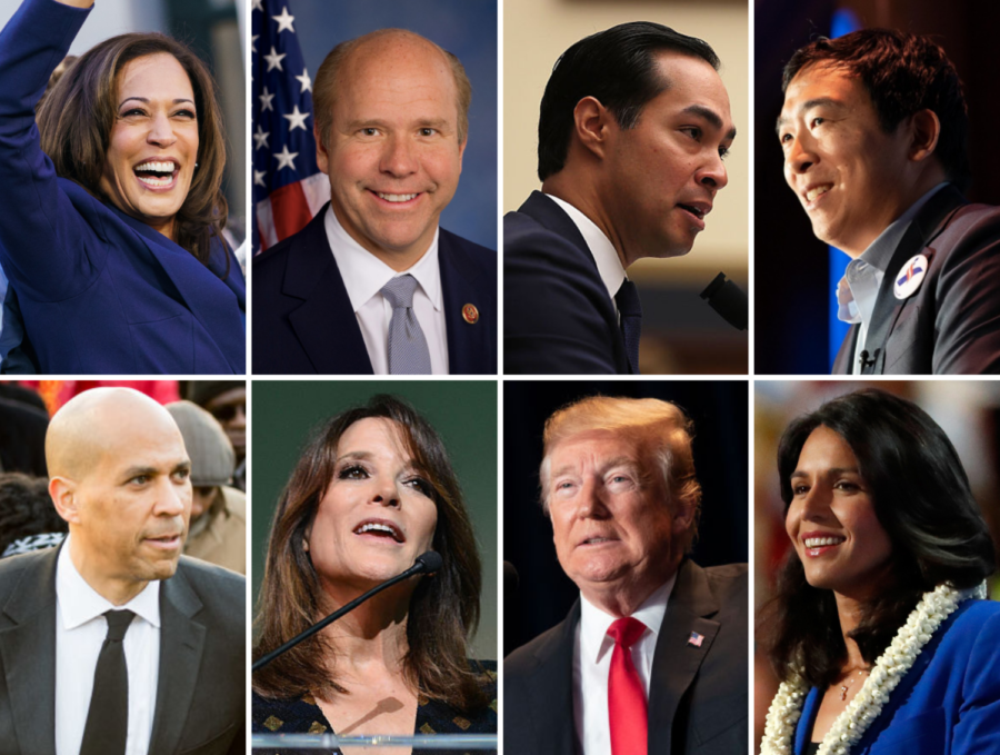 These are just some of the candidates for the 2019-2020 presidential election. From top left to bottom right: Kamala Harris, John Delaney, Julian Castro, Andrew Yang, Cory Booker, Marianne Williamson, Donald Trump, and Tulsi Gabbard.
