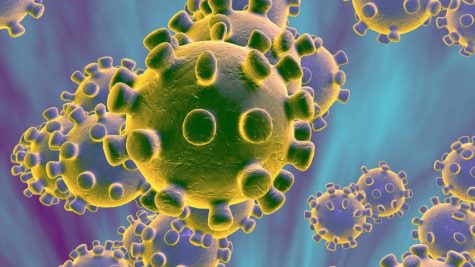 Coronavirus Impacts Cam High and Local Schools