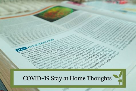 This article features some of the small things I have noticed amidst the pandemic.