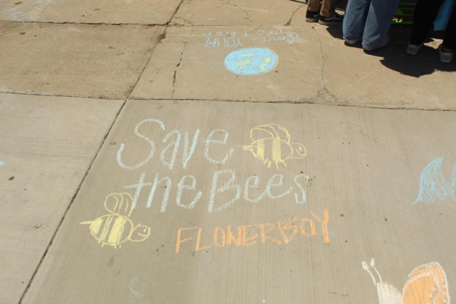 Save the Bees - Naturally Green drew several messages such as this one with chalk throughout the school.